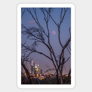 The Blood Moon Lunar Eclipse from Yarra Boulevard, July 2018 Sticker